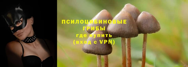 кристаллы Алзамай