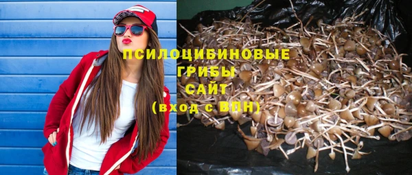 гидра Алексеевка