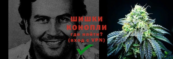 гидра Алексеевка