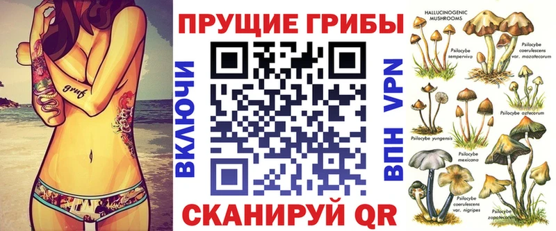 Галлюциногенные грибы мицелий kraken зеркало Апшеронск что такое